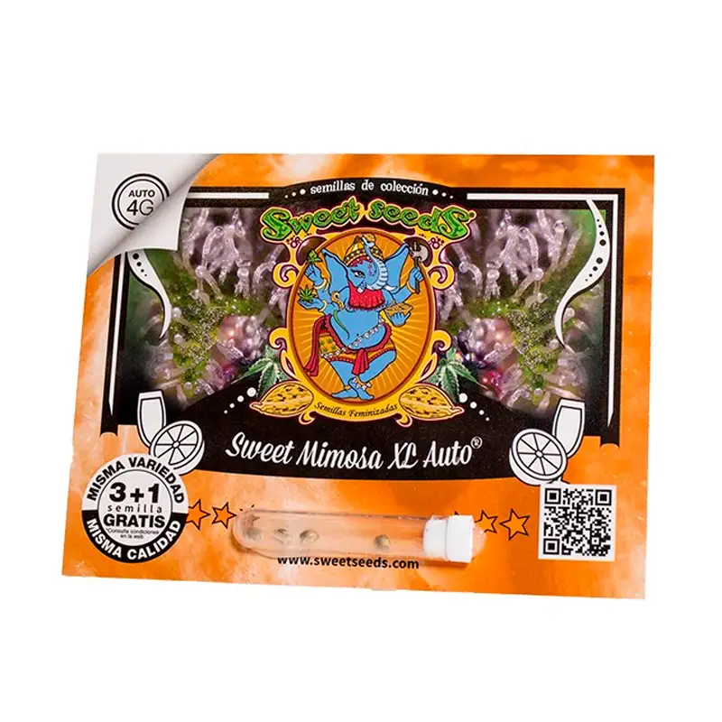 Sweet Seeds – Sweet Mimosa XL Auto® x3+1 - Imagen 3